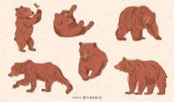 Brown bear pack