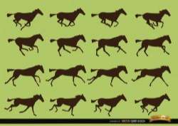 Horse galloping motion sequence silhouettes