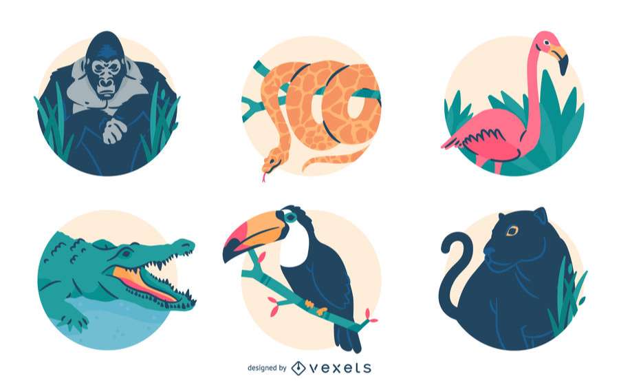 Jungle animals illustration set