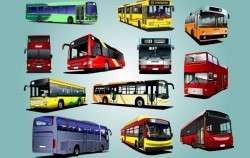 Photorealistic Bus Pack Vector