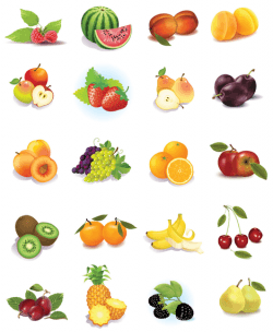 Set Of Fruits Vector Graphics