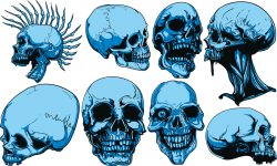 Skull Vector 3