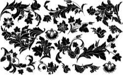 Floral ornament elements Vector