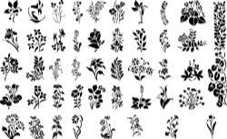 Flowers silhouette Vector