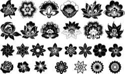 Flowers silhouette Vector