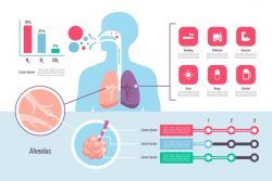 Medical healthcare infographic
