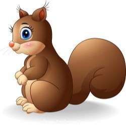 Cartoon squirrel vector