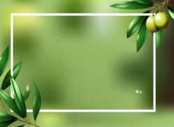 Border template with olive plant