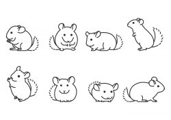Chinchilla Line Icon