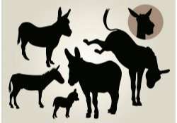 Donkey Vector Silhouette Set