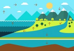 Water Cycle Diagram