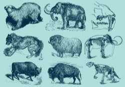 Ice Age Animals