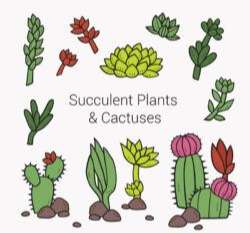 11 cartoon multi-meat plant