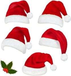 Christmas hats vector