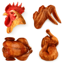 Cock chicken heads and roast chicken