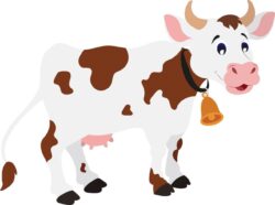 Cow vector
