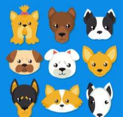 9 cute pets and dog head