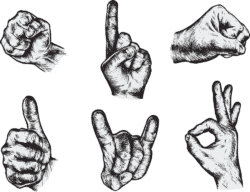 Detailed hand vectors