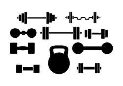 Dumbell Vector