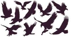 Eagles king set silhouettes