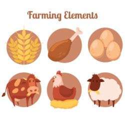 6 farm product element