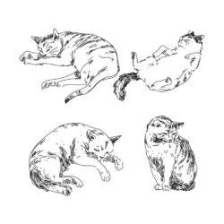 Hand drawing cats vector