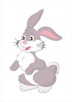 Rabbit vector