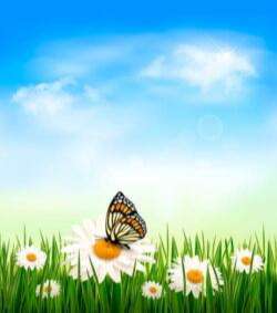 Sunny Blue Sky background vector