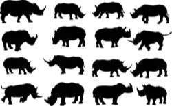The set of Rhinoceros Silhouette collection