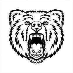 vector illustration of bear head logo