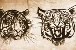 Vector Tigers 01