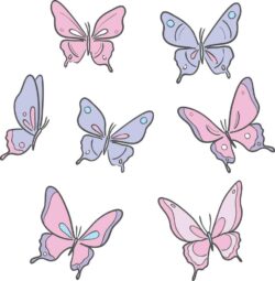 Cute butterfly