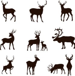 Set of deer silhouettes