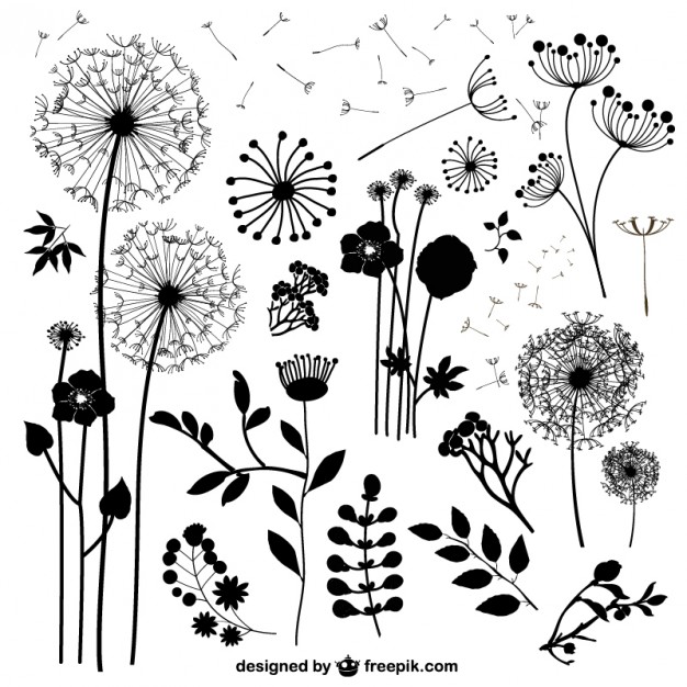 Wild flowers vectors   Vector | Free Download